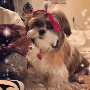 Meet your Posher, Cara